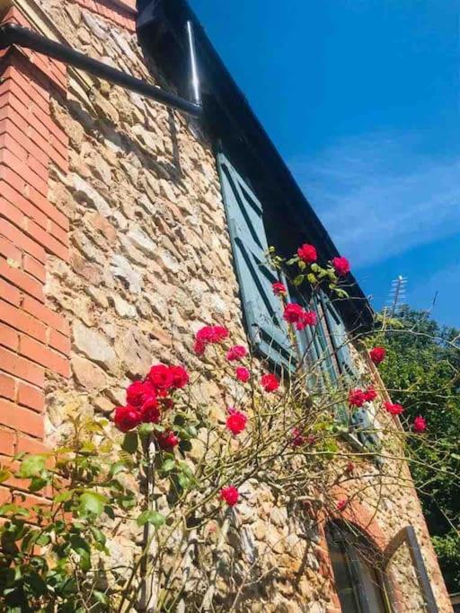 Burleyhayes Barn - Secluded Devon Hideaway. Villa Hemyock Ngoại thất bức ảnh