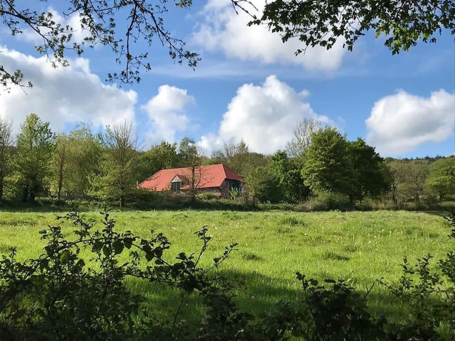 Burleyhayes Barn - Secluded Devon Hideaway. Villa Hemyock Ngoại thất bức ảnh